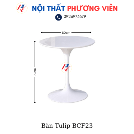 ban tulip noi that phuong vien