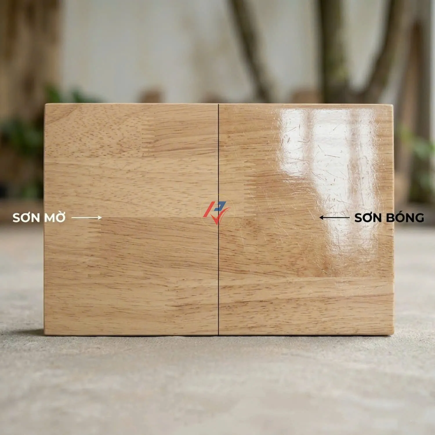 Sơn bóng và sơn mờ
